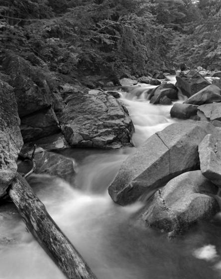 Wild_stream