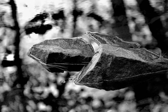 Water_stone