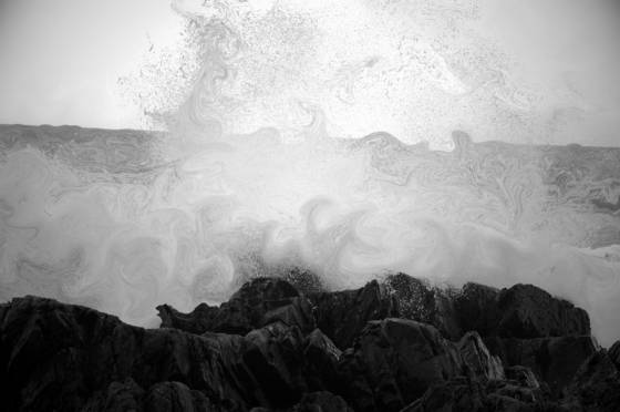 Surf__1