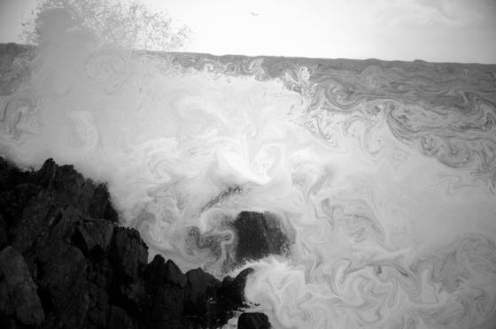 Surf__2