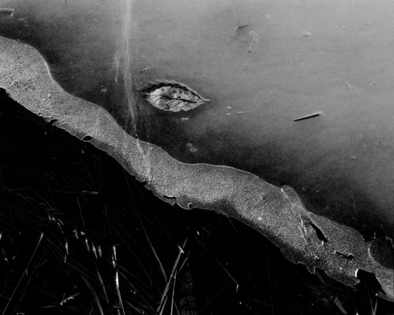 Spring_thaw