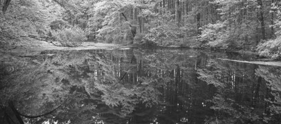 Untitled_4