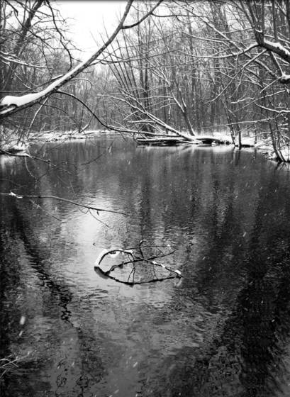 Snowy_river