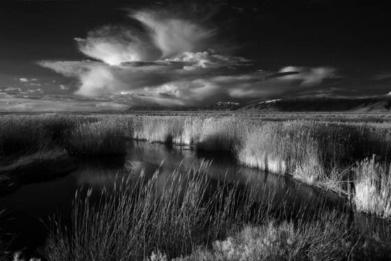 Lee_creek