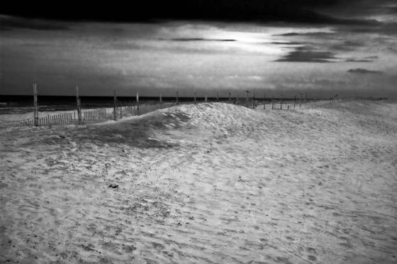 Untitled_1