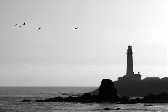 Pigeon_point_light_house