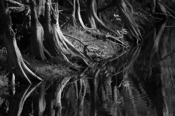 A_river_runs_through_it
