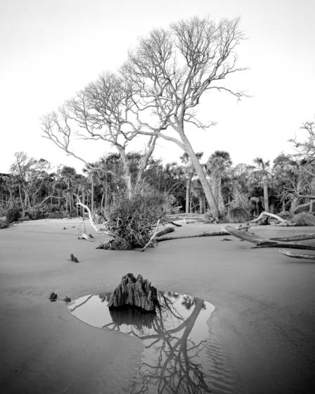 Hunting_island