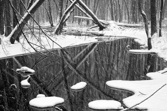 Winter_stream