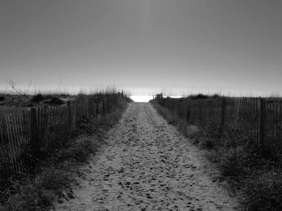 Bald_head_island