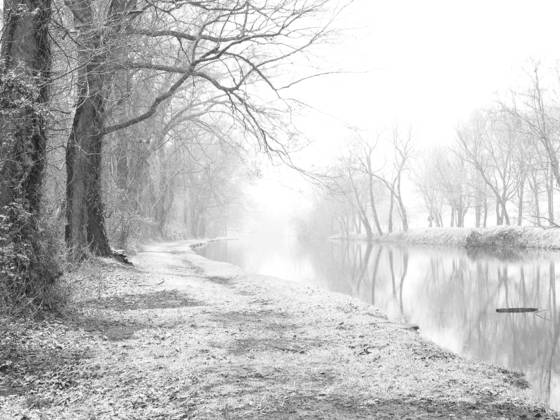 Canal_snow__11