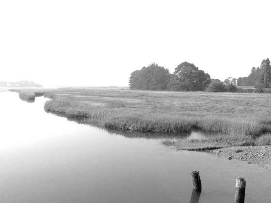 Stillness__4