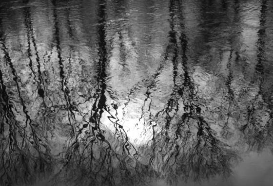 Reflection