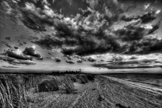 Guard_shore__2