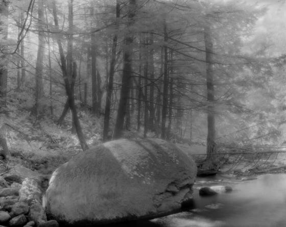Peaceful_dream