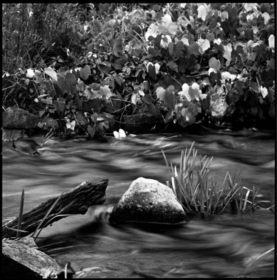 Stream_and_rock