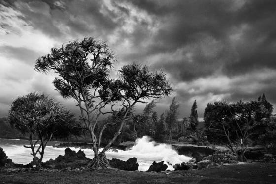 Hana_storm