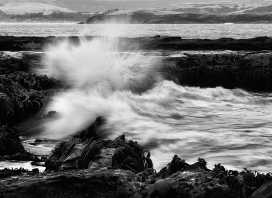 Water_movement