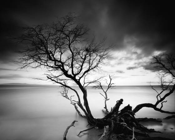 Fallen