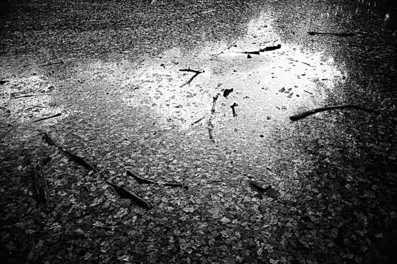 Puddle