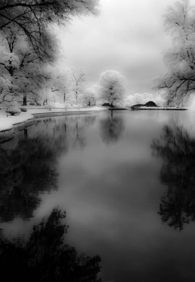 Lucid_dreaming