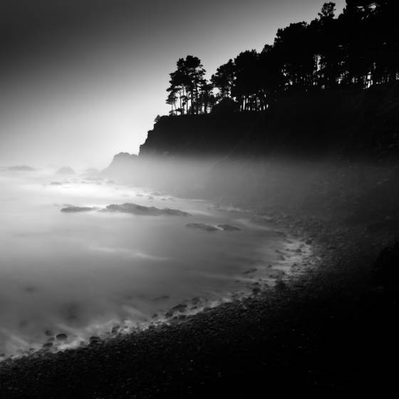 Foggy_cove