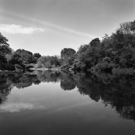 Untitled_11