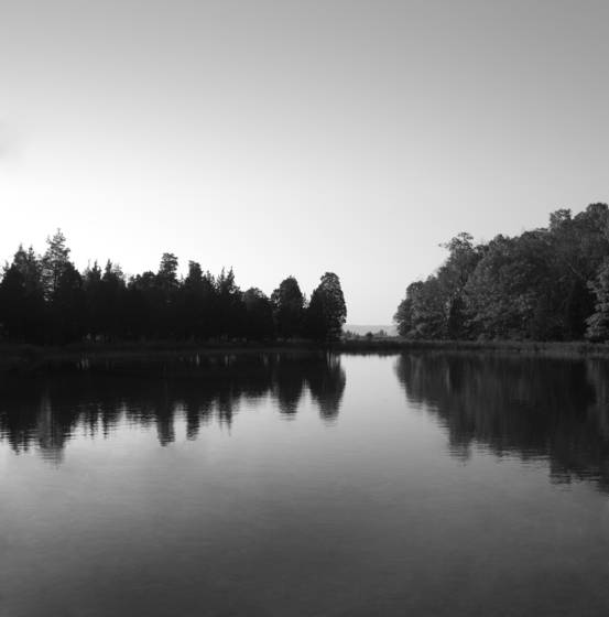 Untitled_19