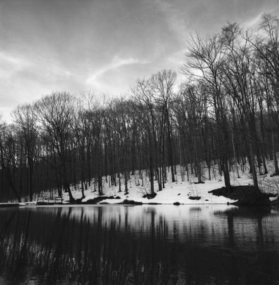 Untitled_22