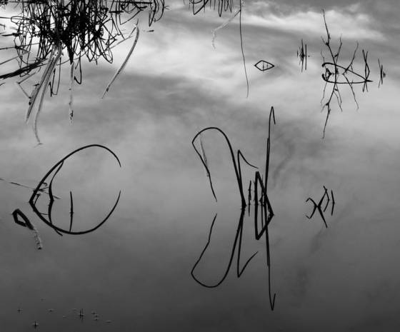 Pond_series_27