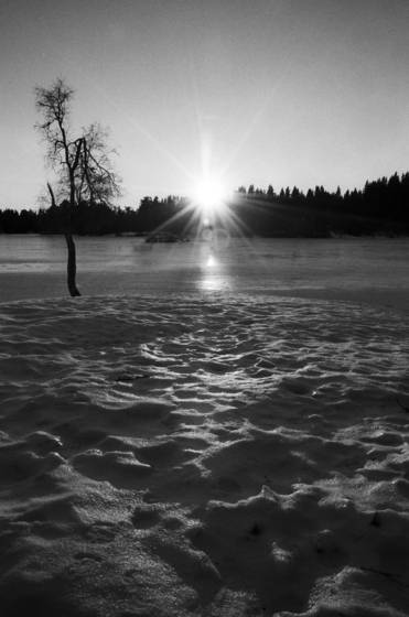 Frozen_sun