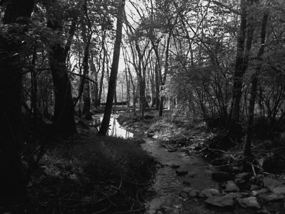 A_river_runs_through_it