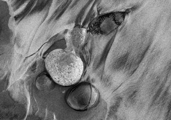 Beach_art