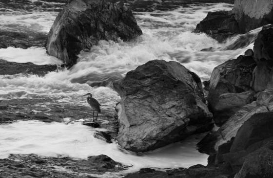 Great_falls_1