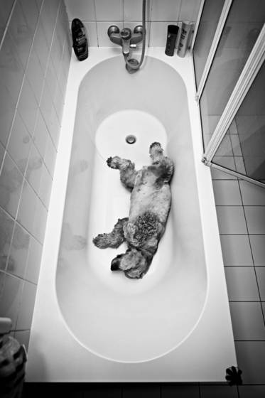 Bath_time