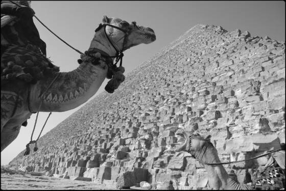Giza