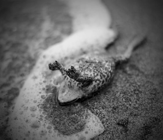 Untitled_10