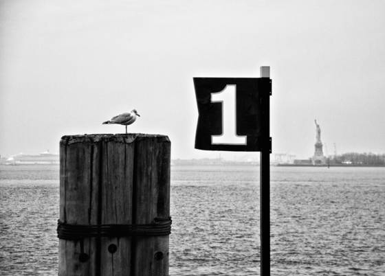 The_avian_tourist
