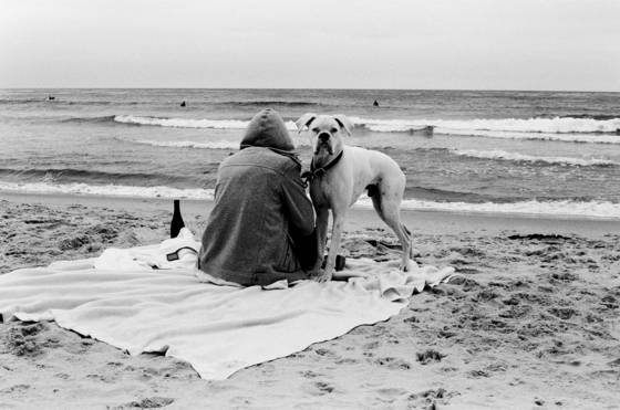 A_perfect_day_at_the_beach