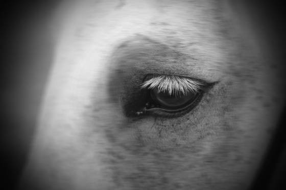 Untitled_10