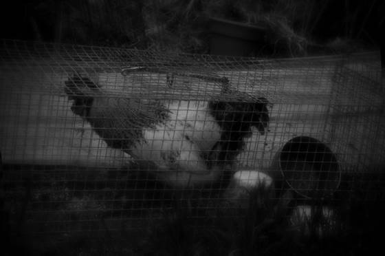 Untitled_12
