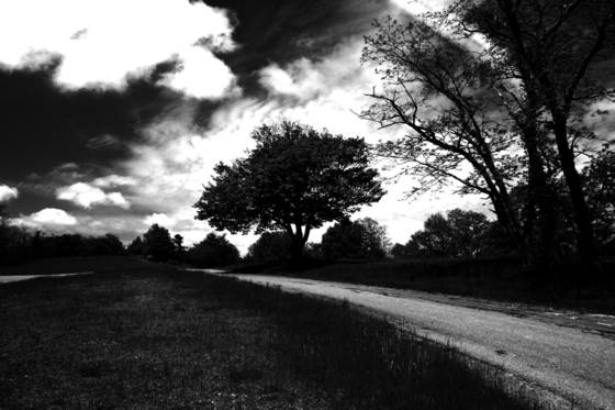 Doughton_park__3