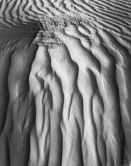 Navajo_sand