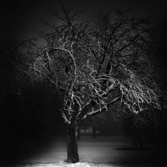 Winter_two