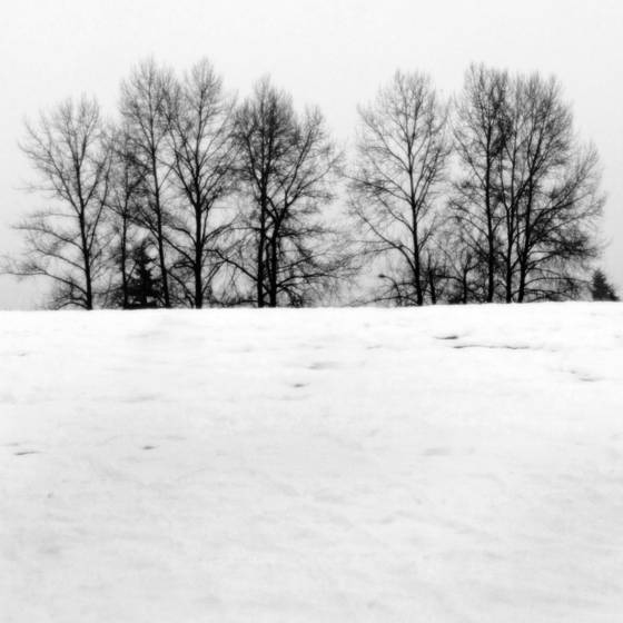 Winterscape