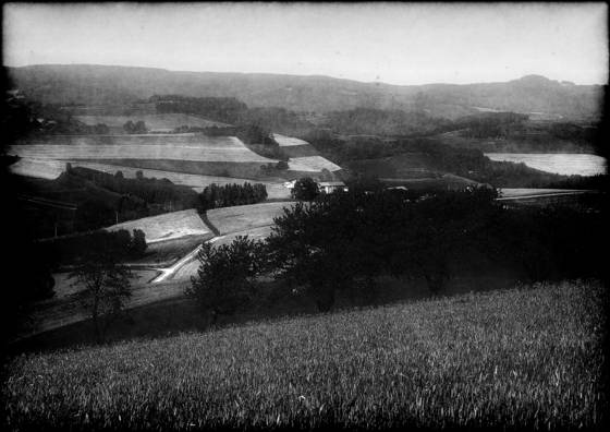 Smattering_of_bumpy_fields