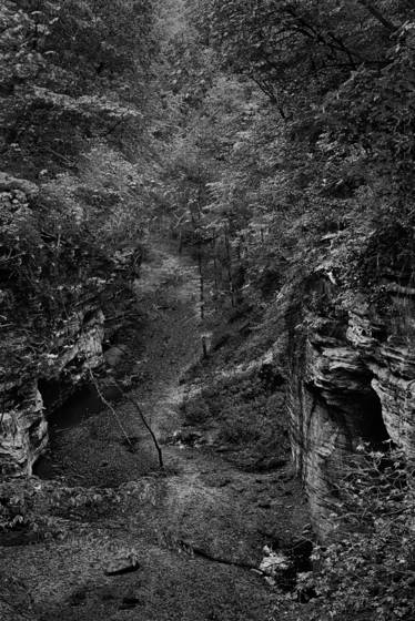 Matthiessen_sp