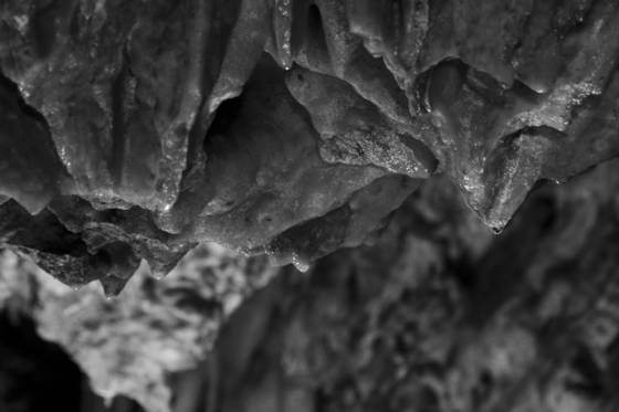 Punkva_caves__7