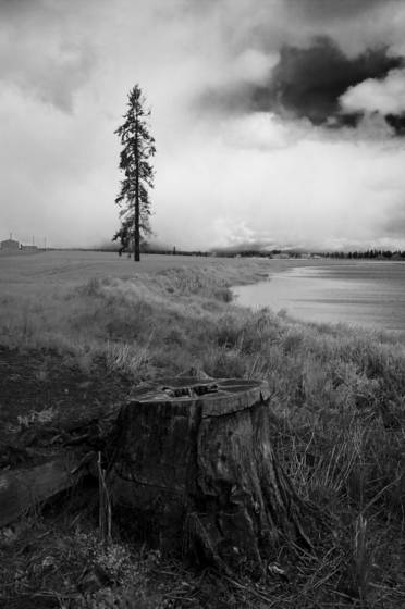 Untitled_6