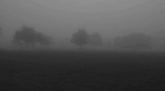 Fog_scene